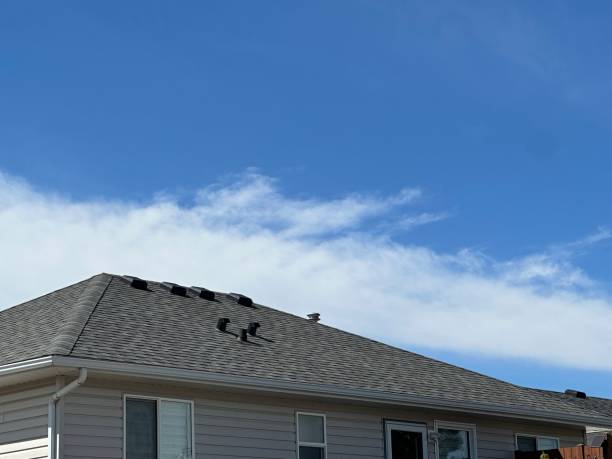 Best Metal Roofing Installation  in Allen Park, MI
